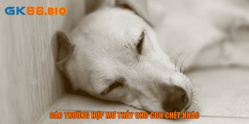 Các trường hợp mơ thấy chó con chết khác