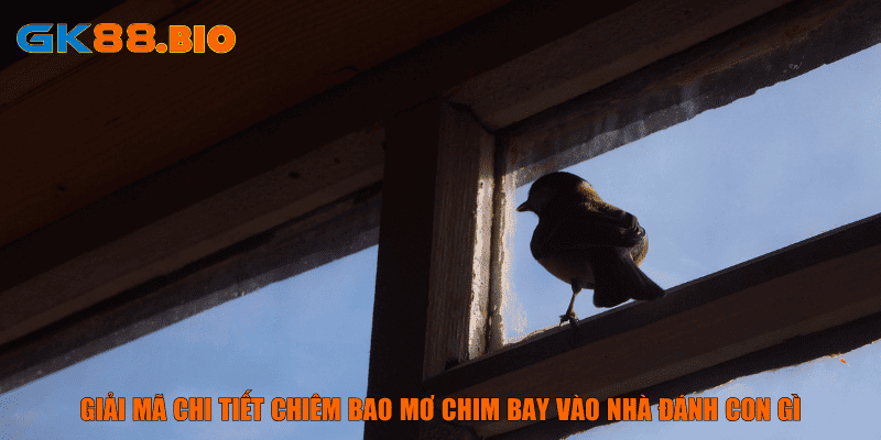 Giải mã chi tiết chiêm bao mơ chim bay vào nhà đánh con gì