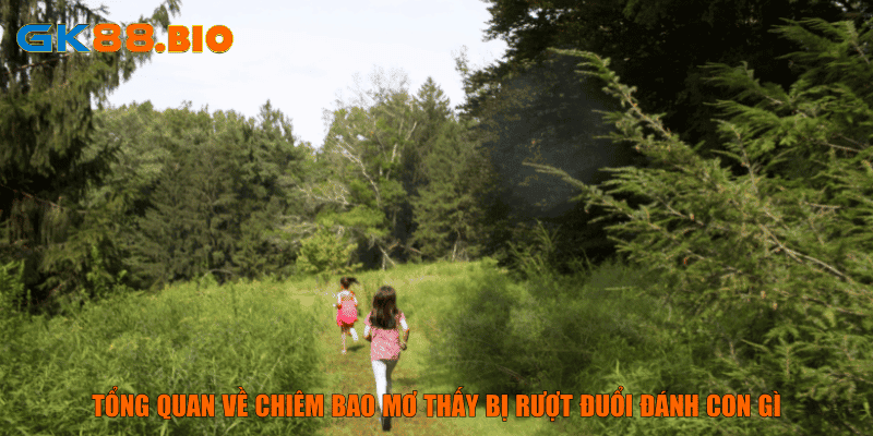 Tổng quan về chiêm bao mơ thấy bị rượt đuổi đánh con gì