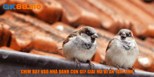 Chim Bay Vào Nhà Đánh Con Gì? Giải Mã Bí Ẩn Tâm Linh