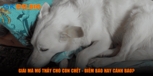 giải mã mơ thấy chó con chết là điềm báo hay cảnh báo