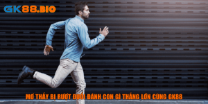 mơ thấy bị rượt đuổi đánh con gì