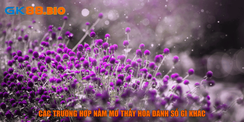 Các trường hợp nằm mơ thấy hoa đánh số gì khác